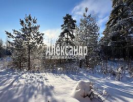 Участок 20 сот.