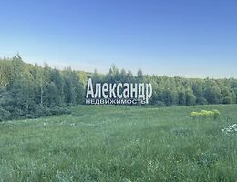 Участок 11 сот.