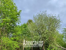 Участок 10 сот.
