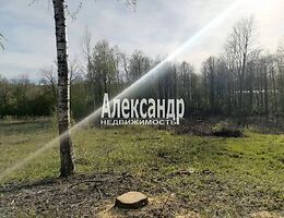 Участок 11 сот.