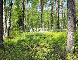 Участок 9.1 сот.