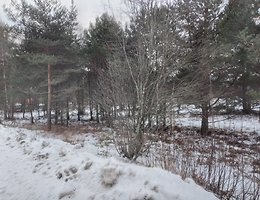 Участок 33.8 сот.