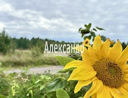 Участок 18 сот.