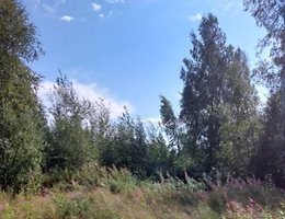 Участок 8 сот.