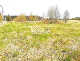 Участок 75 сот.