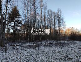 Участок 10 сот.