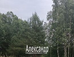 Участок 25 сот.