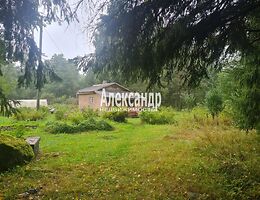 Участок 50 сот.