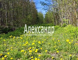 Участок 10 сот.
