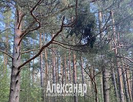 Участок 12 сот.