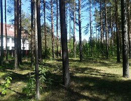Участок 56.5 сот.