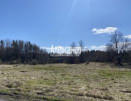 Участок 31.9 сот.