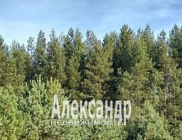 Участок 17.5 сот.