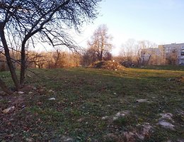 Участок 11 сот.
