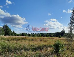 Участок 10 сот.