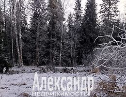 Участок 8 сот.