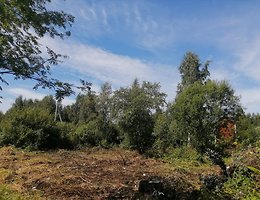 Участок 7.6 сот.