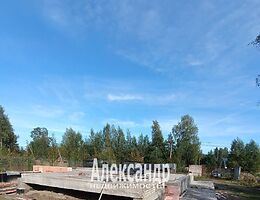 Участок 12 сот.