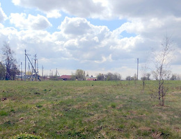 Участок 260 сот.