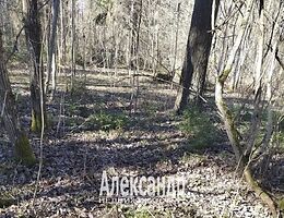 Участок 8.9 сот.