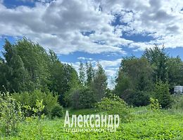 Участок 6 сот.