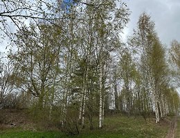 Участок 14 сот.