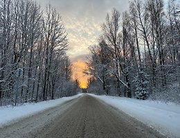 Участок 16 сот.