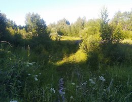 Участок 7.7 сот.