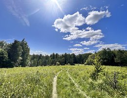 Участок 1.72 Га