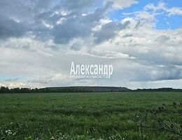Участок 10 сот.