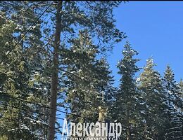 Участок 11.5 сот.