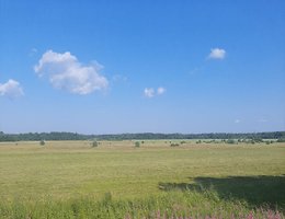 Участок 245 сот.