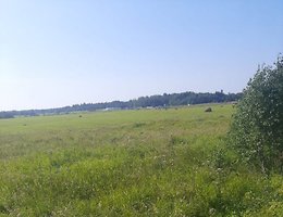 Участок 245 сот.