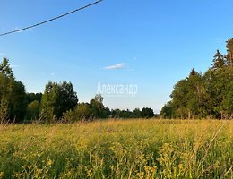 Участок 10 сот.