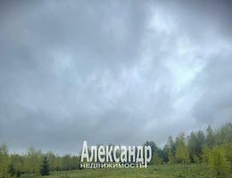 Участок 12 сот.