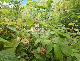 Участок 1120 сот.