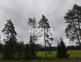 Участок 4810 сот.