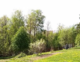 Участок 6.5 сот.