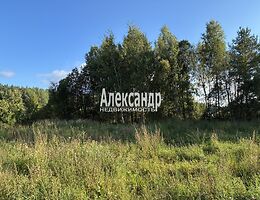 Участок 12 сот.