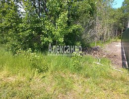 Участок 12 сот.