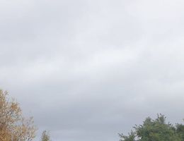 Участок 24 сот.