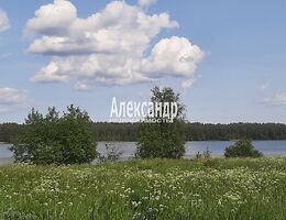 Участок 12 сот.