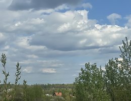 Участок 1231 кв.м