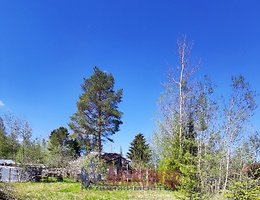 Участок 6 сот.