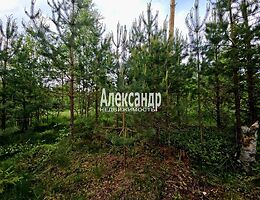 Участок 10 сот.