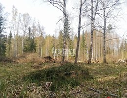 Участок 13 сот.